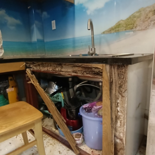CẢI TẠO BẾP GỖ BỊ MỐ MỌT 